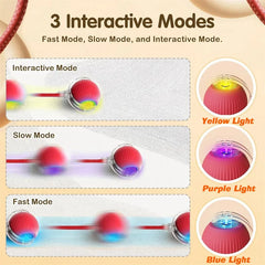 Bouncetug Play Ball Interactive Pet Toy