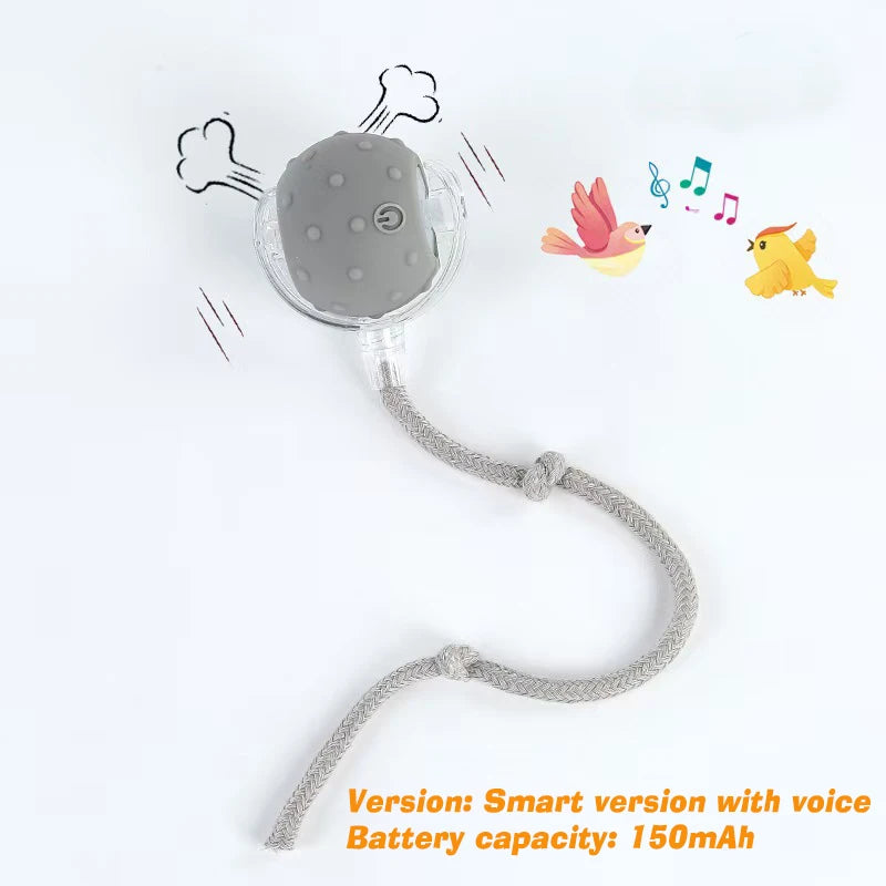 Bouncetug Play Ball  Interactive Pet Toy